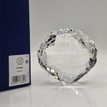 Lade das Bild in den Galerie-Viewer, SWAROVSKI Archenmuschel Muschel 5136841