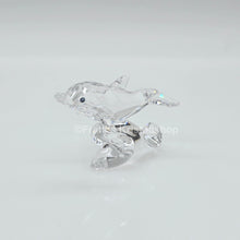 Lade das Bild in den Galerie-Viewer, SWAROVSKI Baby Delfin 678507