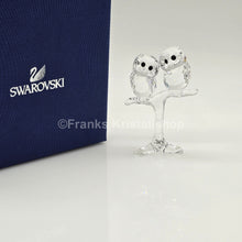 Lade das Bild in den Galerie-Viewer, SWAROVSKI Baby Eulen 5249263
