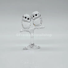 Lade das Bild in den Galerie-Viewer, SWAROVSKI Baby Eulen 5249263
