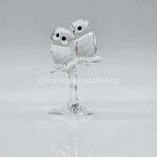 Lade das Bild in den Galerie-Viewer, SWAROVSKI Baby Eulen 5249263