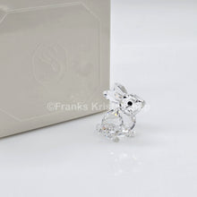 Lade das Bild in den Galerie-Viewer, SWAROVSKI Baby Hase Häschen 5723652 (5135942)