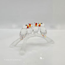 Lade das Bild in den Galerie-Viewer, SWAROVSKI Baby Lovbirds Papageien 199123