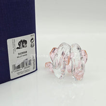 Lade das Bild in den Galerie-Viewer, SWAROVSKI Ballettschuhe 5428568