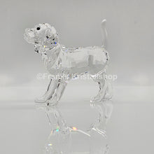 Lade das Bild in den Galerie-Viewer, SWAROVSKI Beagle groß Stehend 5135917