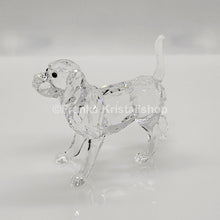 Lade das Bild in den Galerie-Viewer, SWAROVSKI Beagle groß Stehend 5135917