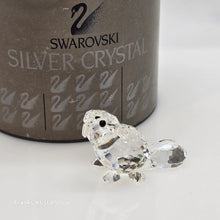 Lade das Bild in den Galerie-Viewer, SWAROVSKI Biber Baby Sitzend 164638