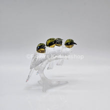 Lade das Bild in den Galerie-Viewer, SWAROVSKI Bienenfresser 1048013 oU
