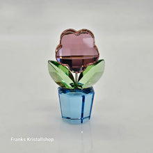 Lade das Bild in den Galerie-Viewer, SWAROVSKI Blumenträume Blume Rosa Pink 627097 oU