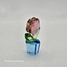 Lade das Bild in den Galerie-Viewer, SWAROVSKI Blumenträume Blume Rosa Pink 627097 oU