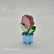 Lade das Bild in den Galerie-Viewer, SWAROVSKI Blumenträume Blume Rosa Pink 627097 oU