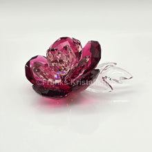 Lade das Bild in den Galerie-Viewer, SWAROVSKI Blumenträume Crystal Flowers Pfingstrose 5688516