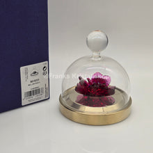 Lade das Bild in den Galerie-Viewer, SWAROVSKI Blumenträume Garden Tales Rote Rose Glasglocke 5619223