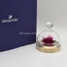 Lade das Bild in den Galerie-Viewer, SWAROVSKI Blumenträume Garden Tales Rote Rose Glasglocke 5619223