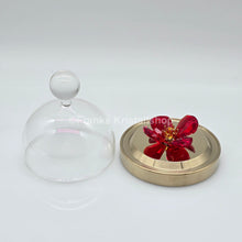 Lade das Bild in den Galerie-Viewer, SWAROVSKI Blumenträume Garden Tales Roter Mohn Glasglocke 5646022