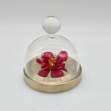 Lade das Bild in den Galerie-Viewer, SWAROVSKI Blumenträume Garden Tales Roter Mohn Glasglocke 5646022