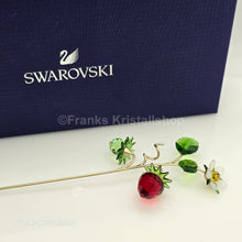 Lade das Bild in den Galerie-Viewer, SWAROVSKI Blumenträume Garden Tales Wilde Erdbeere 5619232