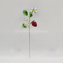 Lade das Bild in den Galerie-Viewer, SWAROVSKI Blumenträume Garden Tales Wilde Erdbeere 5619232