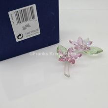 Lade das Bild in den Galerie-Viewer, SWAROVSKI Blumenträume Jasminblüte Groß 917664