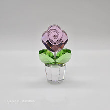 Lade das Bild in den Galerie-Viewer, SWAROVSKI Blumenträume Rose Pink Medium 872197