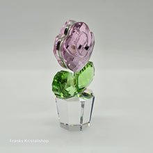 Lade das Bild in den Galerie-Viewer, SWAROVSKI Blumenträume Rose Pink Medium 872197