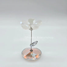 Lade das Bild in den Galerie-Viewer, SWAROVSKI Blumenträume Tanzende Blume Jacky 1048714