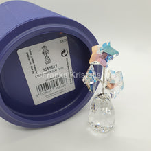 Lade das Bild in den Galerie-Viewer, SWAROVSKI Blumenträume Sternblüte Sonderausgabe 5545612