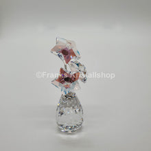 Lade das Bild in den Galerie-Viewer, SWAROVSKI Blumenträume Sternblüte Sonderausgabe 5545612