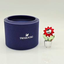 Lade das Bild in den Galerie-Viewer, SWAROVSKI Blumenträume Aster im Blumentopf 681737 AV