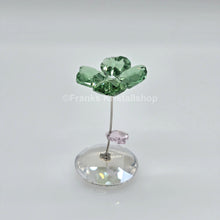 Lade das Bild in den Galerie-Viewer, SWAROVSKI Blumenträume Schaukelnde Blume Liv Kleeblatt 1016550 oE