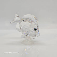 Lade das Bild in den Galerie-Viewer, SWAROVSKI Doktorfisch 883822