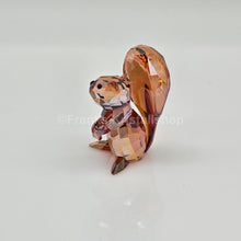 Lade das Bild in den Galerie-Viewer, SWAROVSKI Eichhörnchen Kupfer 1142807