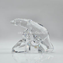 Lade das Bild in den Galerie-Viewer, SWAROVSKI Eisbär Polarbär Nanuc Symbols 837477