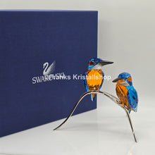 Lade das Bild in den Galerie-Viewer, SWAROVSKI Eisvögel 945090