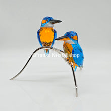 Lade das Bild in den Galerie-Viewer, SWAROVSKI Eisvögel 945090