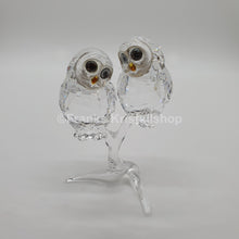 Lade das Bild in den Galerie-Viewer, SWAROVSKI Eulenpaar 5493722