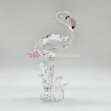Lade das Bild in den Galerie-Viewer, SWAROVSKI Flamingo 289733 oU