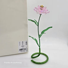 Lade das Bild in den Galerie-Viewer, SWAROVSKI Florere Blume Pfingstrose Blumenträume 5668065