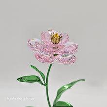 Lade das Bild in den Galerie-Viewer, SWAROVSKI Florere Blume Pfingstrose Blumenträume 5668065