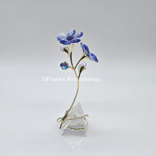 Lade das Bild in den Galerie-Viewer, SWAROVSKI Blume Florere Rozanne Geranie Blumenträume 5693143