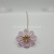 Lade das Bild in den Galerie-Viewer, SWAROVSKI Blumenträume Garden Tales Kosmea 5557801