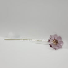 Lade das Bild in den Galerie-Viewer, SWAROVSKI Blumenträume Garden Tales Kosmea 5557801