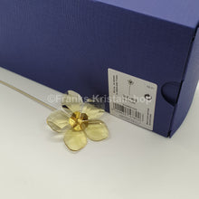 Lade das Bild in den Galerie-Viewer, SWAROVSKI Blumenträume Garden Tales Schneerose 5557802
