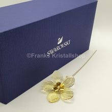 Lade das Bild in den Galerie-Viewer, SWAROVSKI Blumenträume Garden Tales Schneerose 5557802