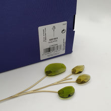 Lade das Bild in den Galerie-Viewer, SWAROVSKI Blumenträume Garden Tales Eukalyptus 5557803