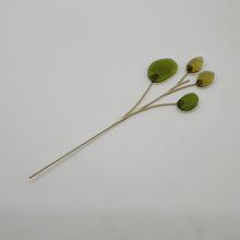 Lade das Bild in den Galerie-Viewer, SWAROVSKI Blumenträume Garden Tales Eukalyptus 5557803