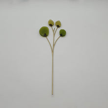 Lade das Bild in den Galerie-Viewer, SWAROVSKI Blumenträume Garden Tales Eukalyptus 5557803