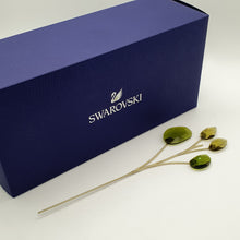 Lade das Bild in den Galerie-Viewer, SWAROVSKI Blumenträume Garden Tales Eukalyptus 5557803