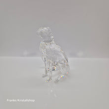 Lade das Bild in den Galerie-Viewer, SWAROVSKI Der Gepard 183225