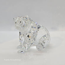 Lade das Bild in den Galerie-Viewer, SWAROVSKI Grizzly Bär 243880